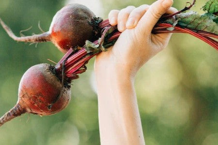 Ernährung in den Wechseljahren