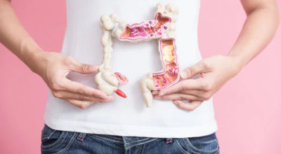Östrobolom: Der Darm und die Östrogene