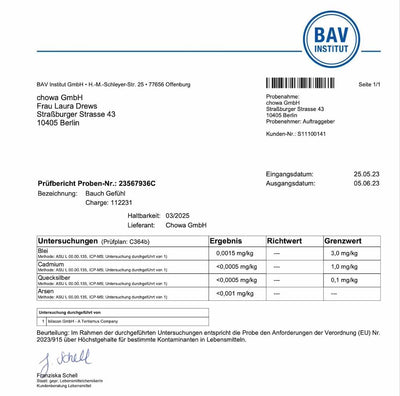 bav pruefbericht xbyx bauch gefuehl