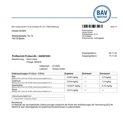 xbyx pruefbericht