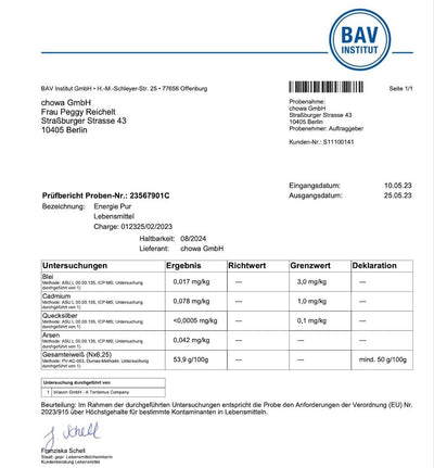 bav pruefbericht xbyx energie pur