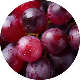 Resveratrol