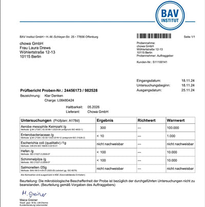 bav pruefbericht xbyx klar denken
