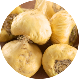 Maca